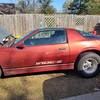 wyatt843